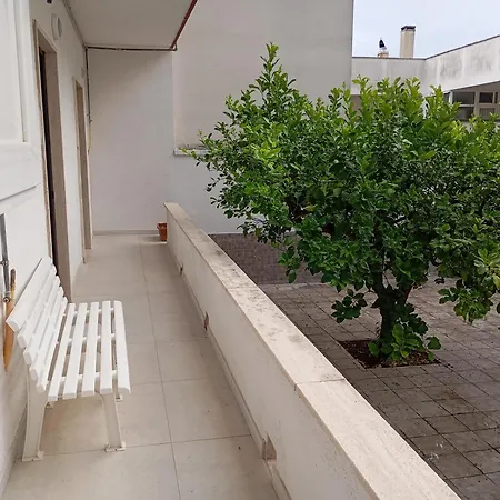 Il Giardino Dei Limoni